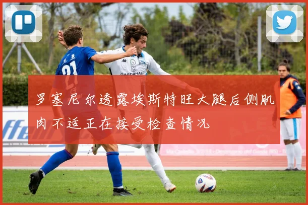 罗塞尼尔透露埃斯特旺大腿后侧肌肉不适正在接受检查情况